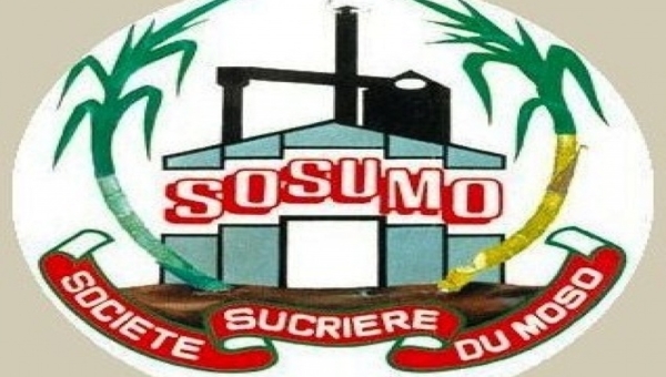  ‘’ Rendement maigre en vue’’ : à la SOSUMO, le personnel accuse la direction de négligence